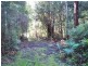 2153 Wilmot Rd, Lower Wilmot TAS 7310