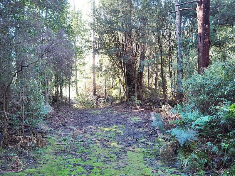 2153 Wilmot Rd, Lower Wilmot TAS 7310