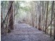 2153 Wilmot Rd, Lower Wilmot TAS 7310