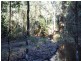 2153 Wilmot Rd, Lower Wilmot TAS 7310