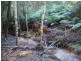 2153 Wilmot Rd, Lower Wilmot TAS 7310