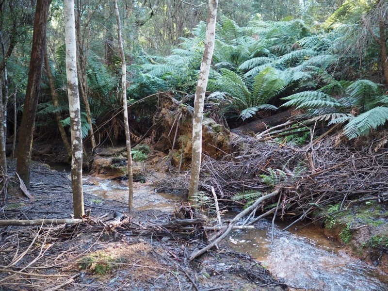 2153 Wilmot Rd, Lower Wilmot TAS 7310