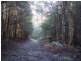 2153 Wilmot Rd, Lower Wilmot TAS 7310