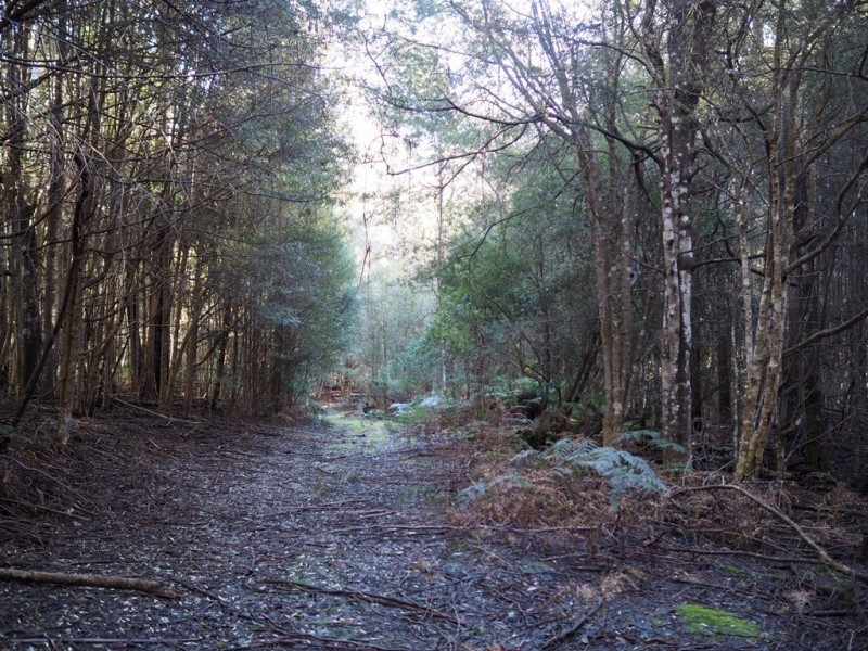 2153 Wilmot Rd, Lower Wilmot TAS 7310