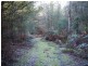 2153 Wilmot Rd, Lower Wilmot TAS 7310