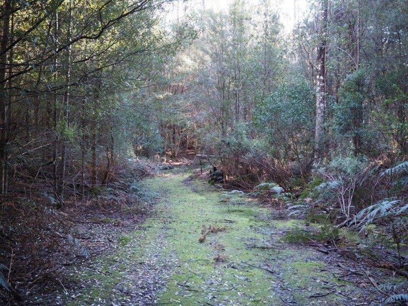 2153 Wilmot Rd, Lower Wilmot TAS 7310