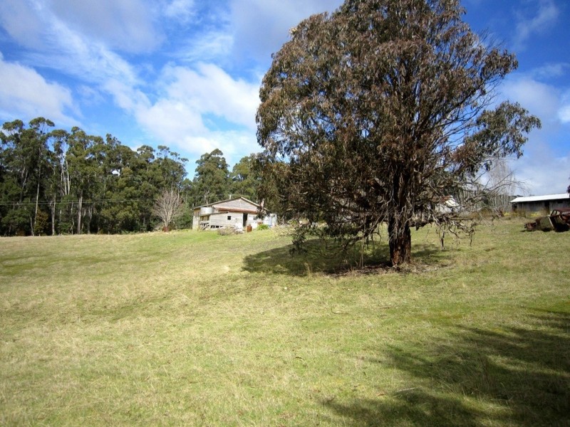 56 Priestleys Lane, Birralee TAS 7303