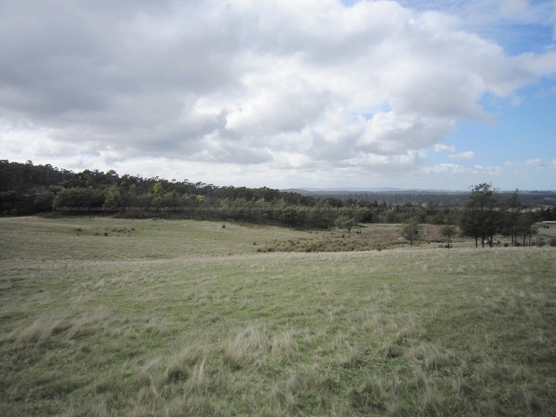 56 Priestleys Lane, Birralee TAS 7303