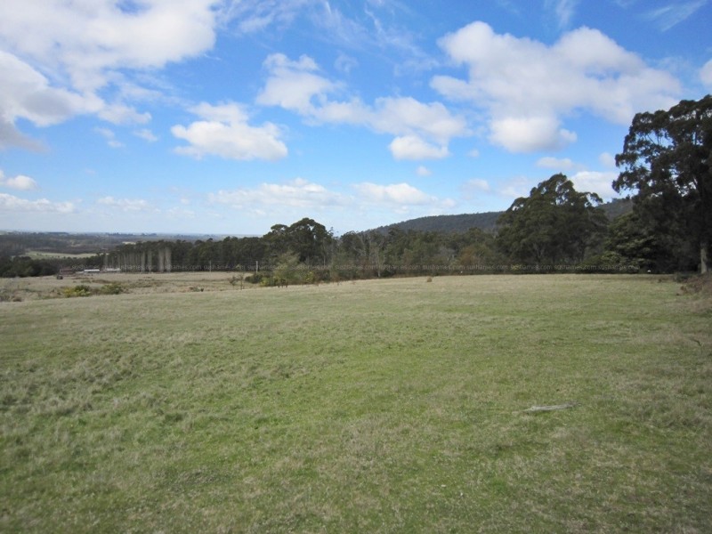 56 Priestleys Lane, Birralee TAS 7303
