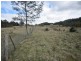 56 Priestleys Lane, Birralee TAS 7303