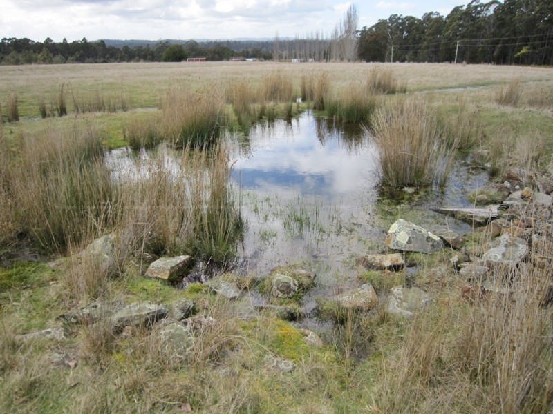 56 Priestleys Lane, Birralee TAS 7303