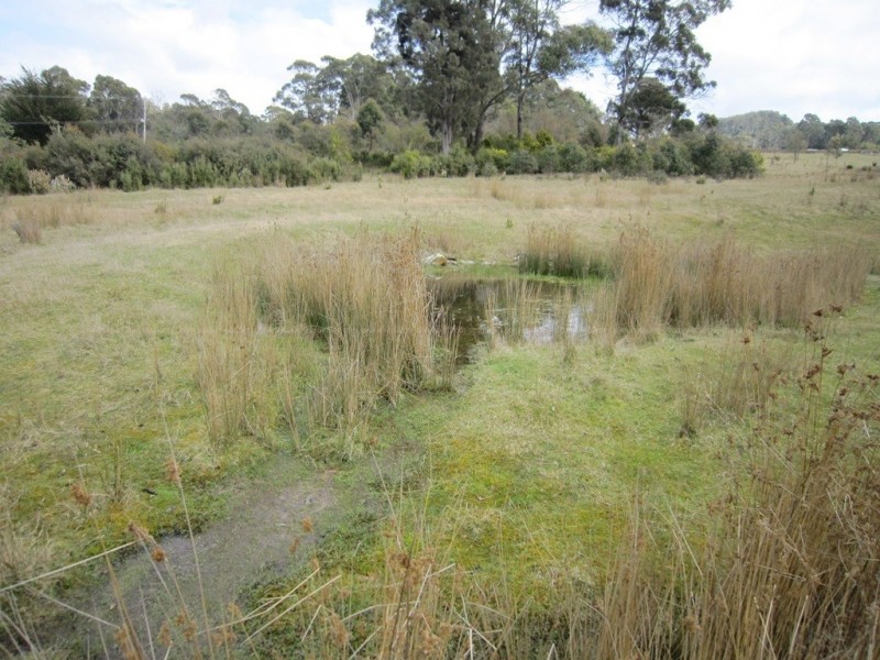 56 Priestleys Lane, Birralee TAS 7303