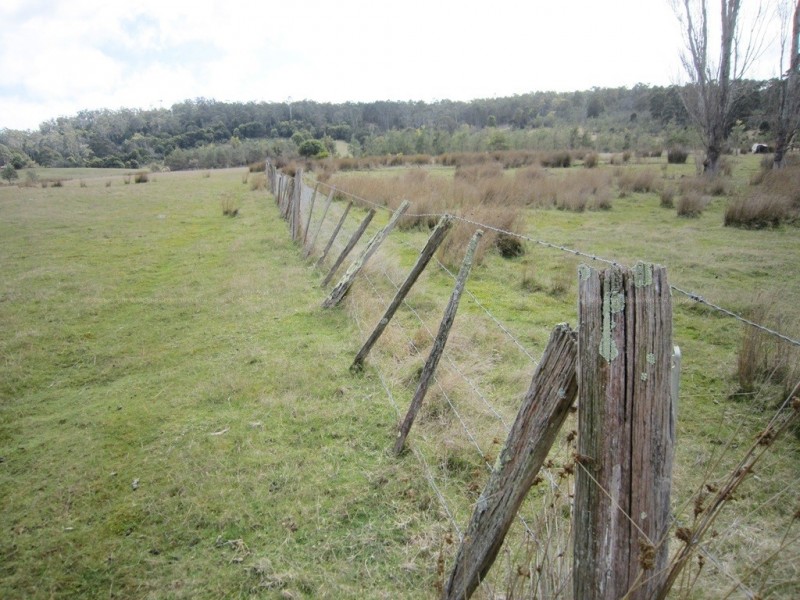 56 Priestleys Lane, Birralee TAS 7303