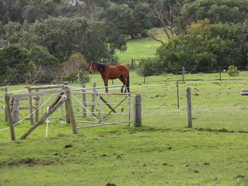 112 Browns Road, Boneo VIC 3939