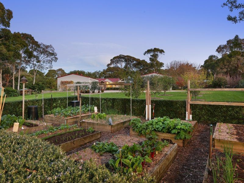 486 Waterfall Gully Road, Rosebud VIC 3939