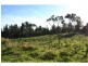 126 Old Cape Schanck Road, Rosebud VIC 3939