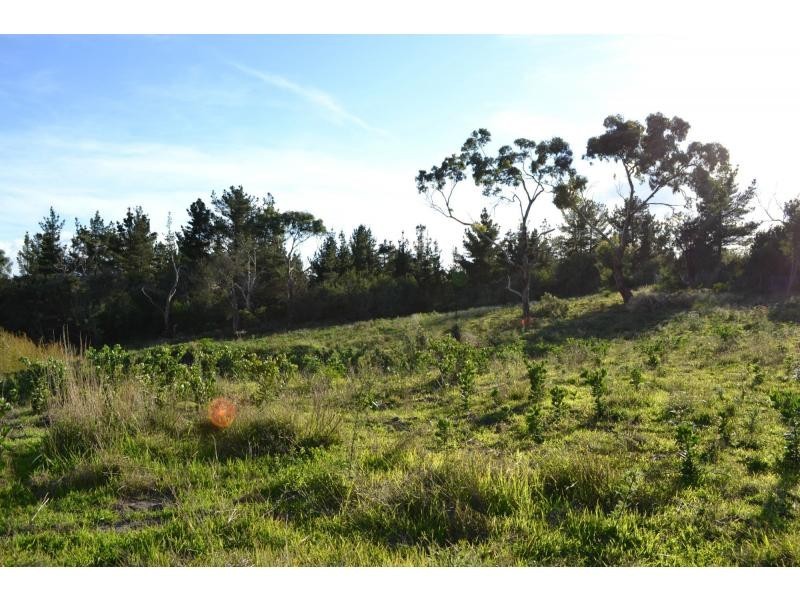 126 Old Cape Schanck Road, Rosebud VIC 3939
