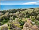 2713 Point Nepean Road, Rye VIC 3941