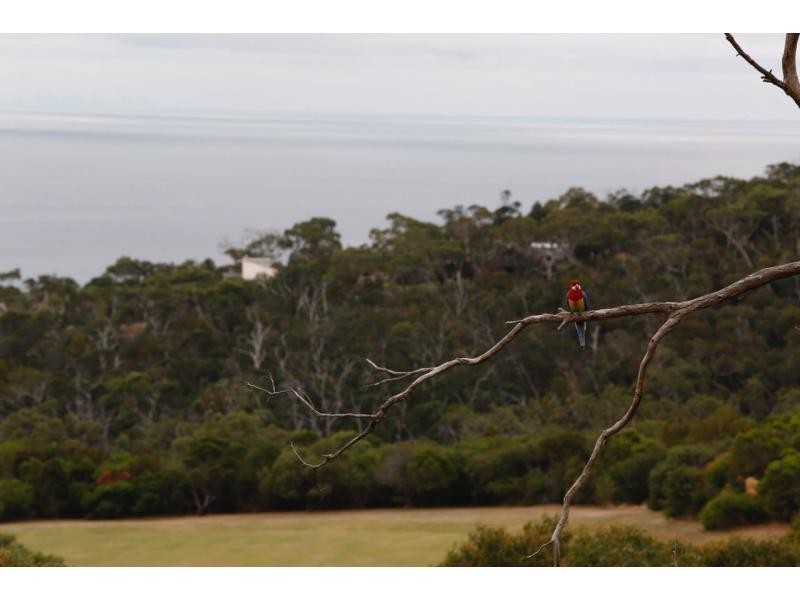 4 Hove Road, Rosebud VIC 3939