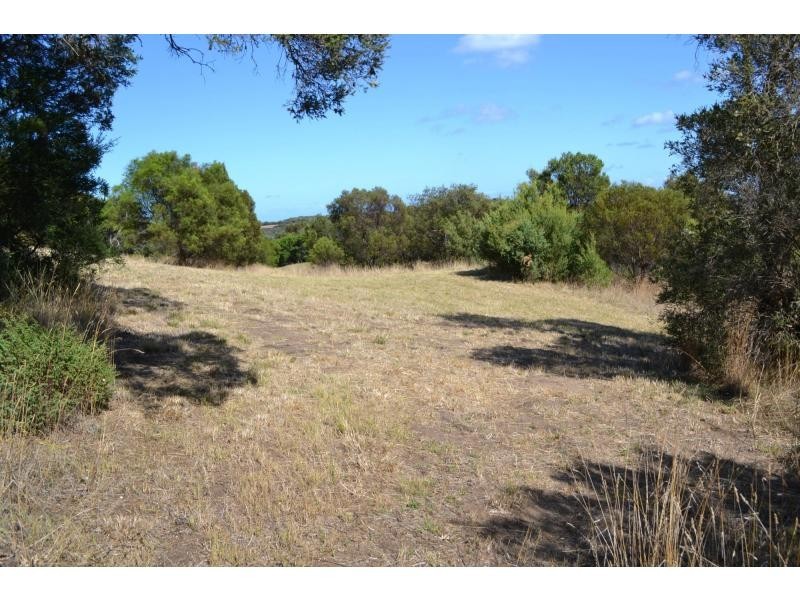 6 The Vineyard Street, Fingal VIC 3939