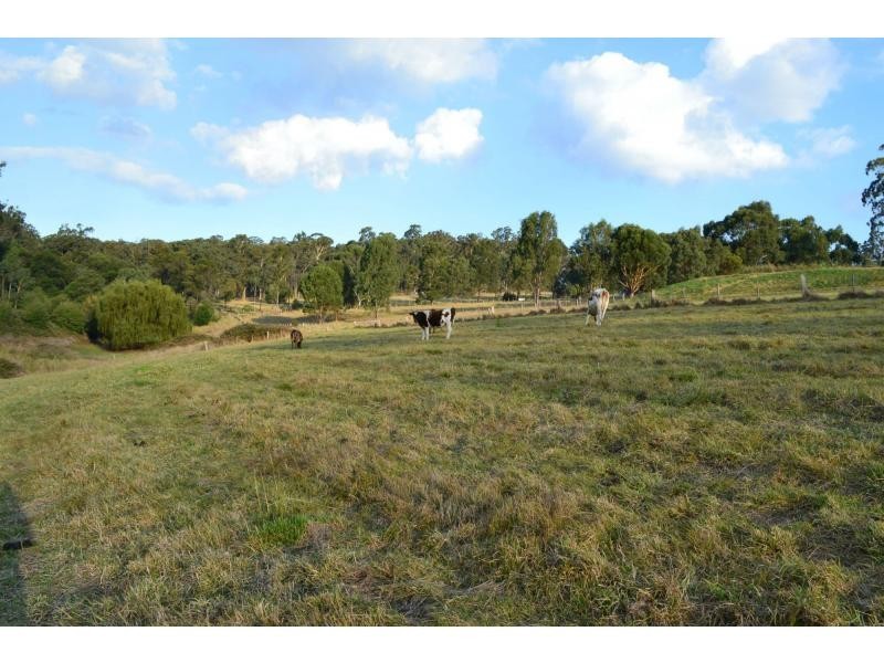 111 Stones Road, Swan Reach VIC 3903