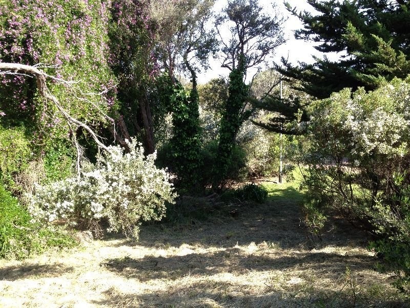 6 Leith Court, Rye VIC 3941