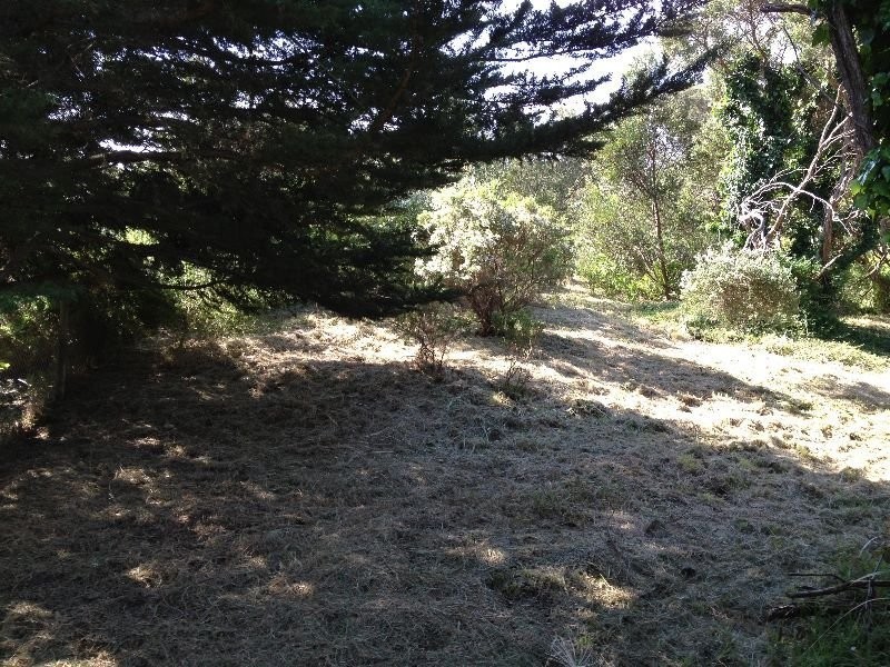 6 Leith Court, Rye VIC 3941