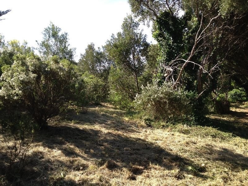 6 Leith Court, Rye VIC 3941