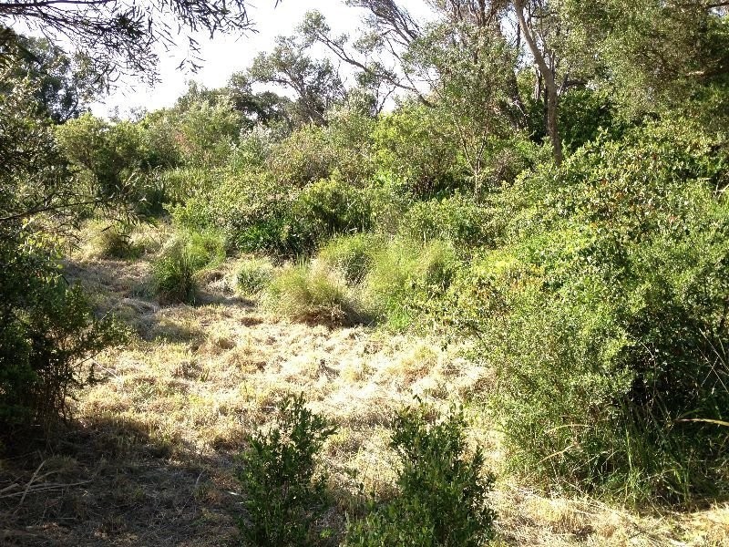 6 Leith Court, Rye VIC 3941