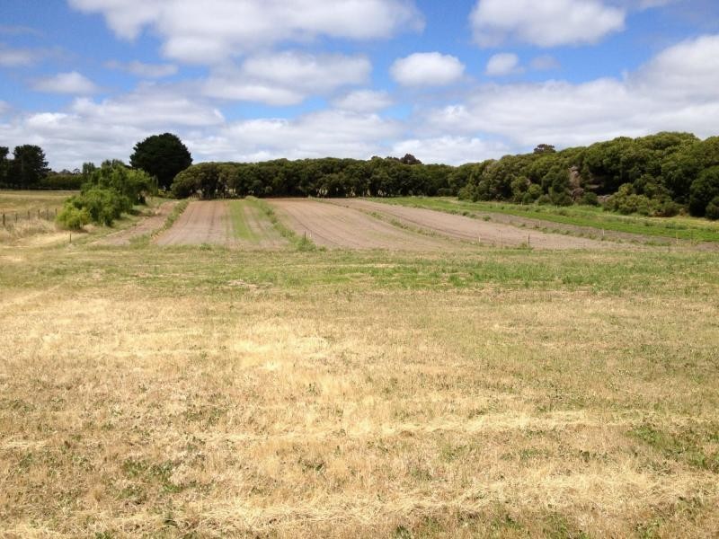 297 Old Cape Schanck Road, Boneo VIC 3939