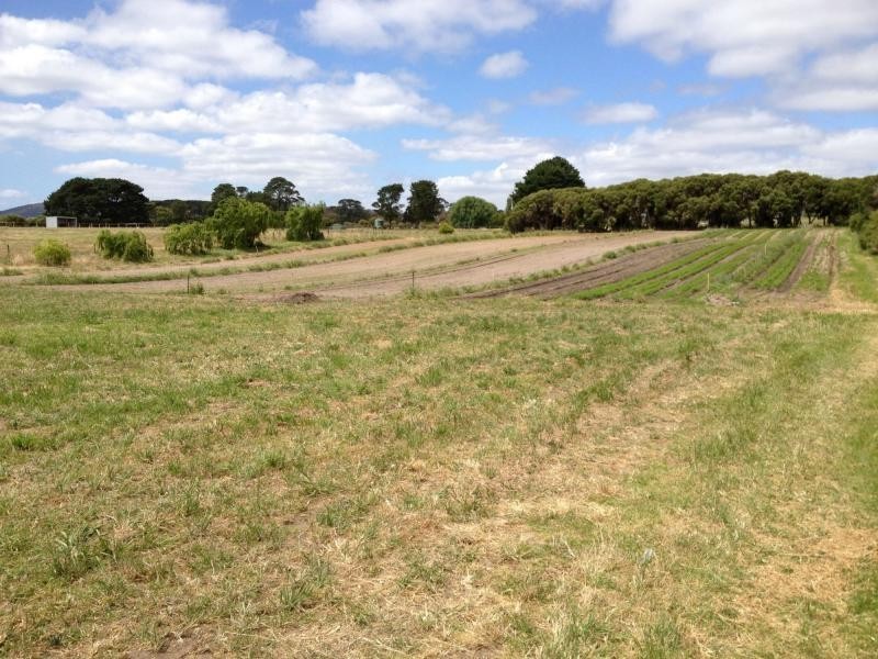 297 Old Cape Schanck Road, Boneo VIC 3939