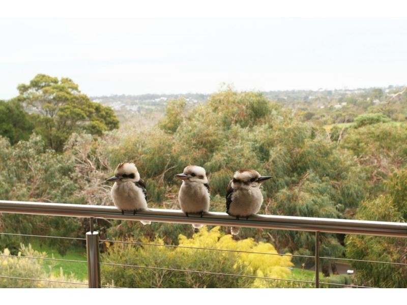 4 Hove Road, Rosebud VIC 3939