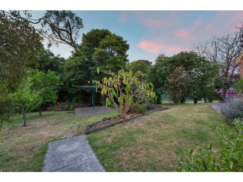 16 Riley Street, Mccrae VIC 3938