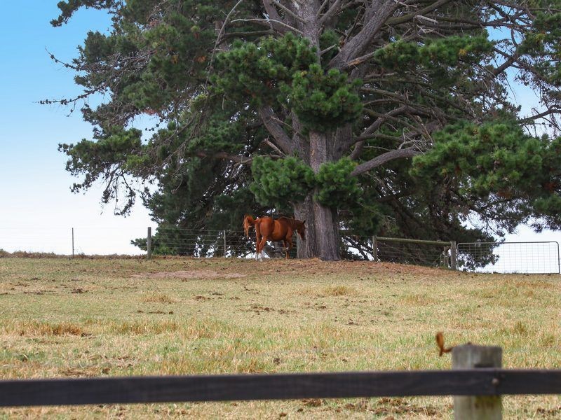 219 Old Cape Schanck Road, Boneo VIC 3939