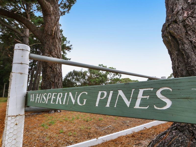 219 Old Cape Schanck Road, Boneo VIC 3939