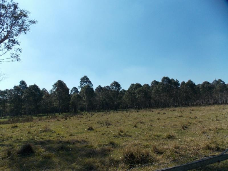 5 Omega Drive, Kungala NSW 2460