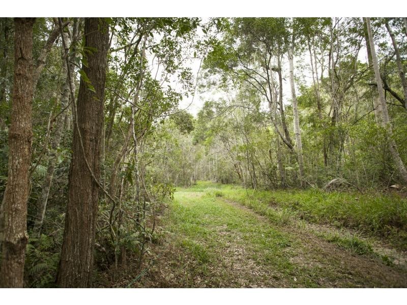 81C Old Bucca Road , Moonee Beach  NSW  2450, Moonee Beach NSW 2450