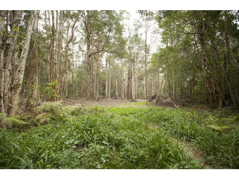 81C Old Bucca Road , Moonee Beach  NSW  2450, Moonee Beach NSW 2450