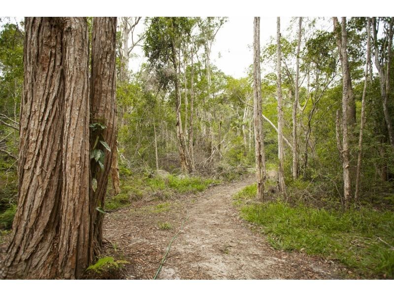 81C Old Bucca Road , Moonee Beach  NSW  2450, Moonee Beach NSW 2450