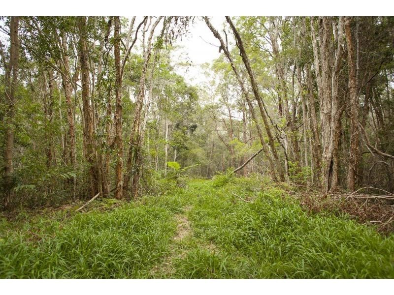 81C Old Bucca Road , Moonee Beach  NSW  2450, Moonee Beach NSW 2450