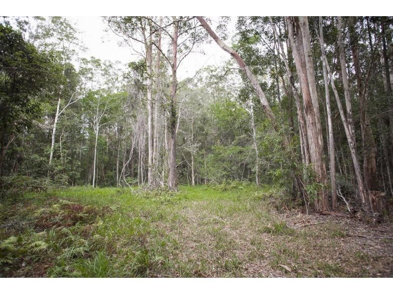 81C Old Bucca Road , Moonee Beach  NSW  2450, Moonee Beach NSW 2450