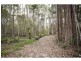 81C Old Bucca Road , Moonee Beach  NSW  2450, Moonee Beach NSW 2450
