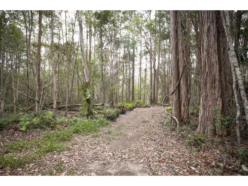 81C Old Bucca Road , Moonee Beach  NSW  2450, Moonee Beach NSW 2450