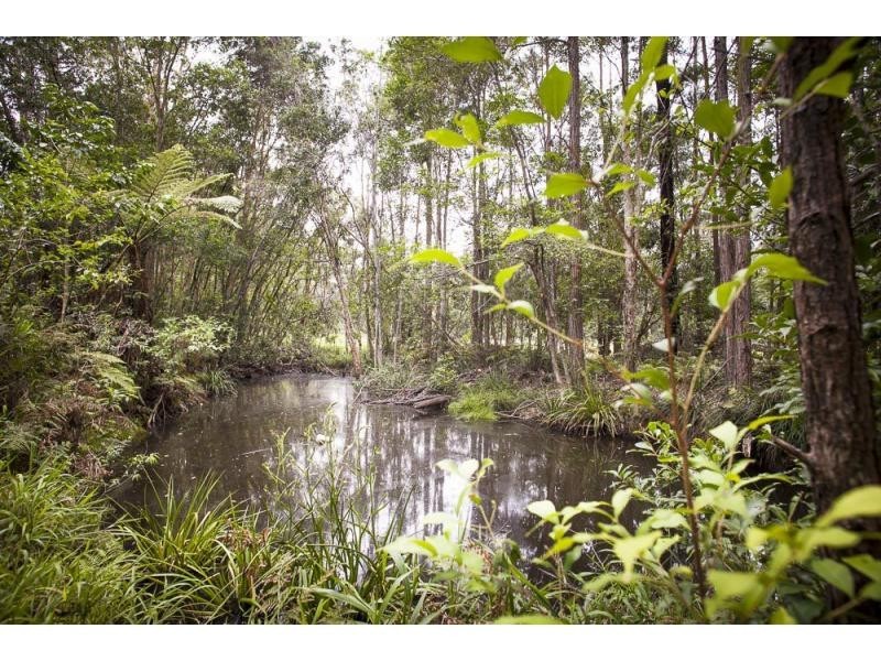 81C Old Bucca Road , Moonee Beach  NSW  2450, Moonee Beach NSW 2450