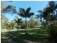 81C Old Bucca Road , Moonee Beach  NSW  2450, Moonee Beach NSW 2450