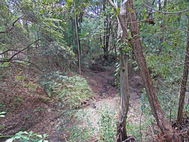 21 Lorikeet Place, Glenreagh NSW 2450