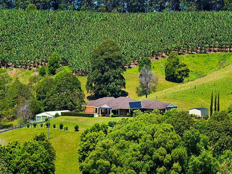 219 Cassidys Road, Bonville NSW 2441