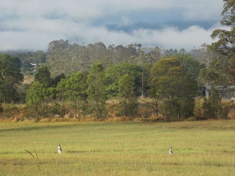 L2 – 15 Thoroughbred Close, Nana Glen NSW 2450