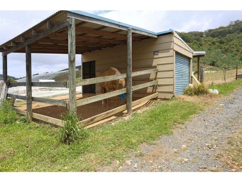 53 Bennetts Road, Coffs Harbour NSW 2450