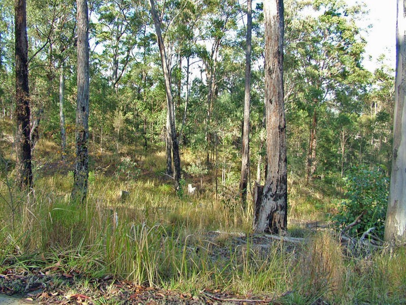 L61 Sherwood Creek Road, Glenreagh NSW 2450